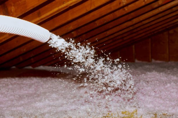 Best Eco-Friendly Insulation in Princeton, KY