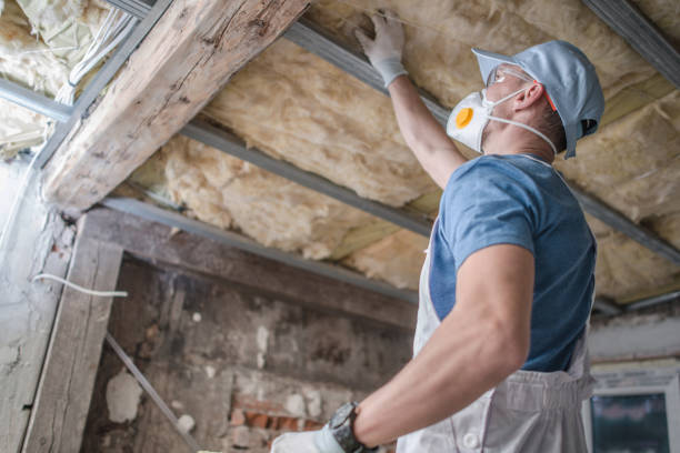 Best Insulation for Specific Applications in Princeton, KY