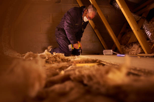 Best Blown-in Insulation in Princeton, KY